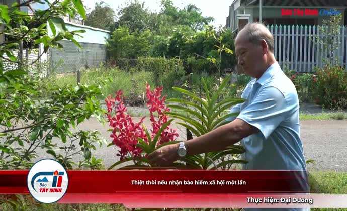 Thiệt thòi nếu nhận bảo hiểm xã hội một lần