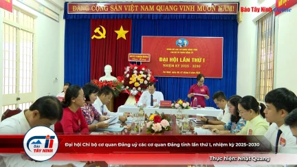 Đại hội Chi bộ cơ quan Đảng uỷ các cơ quan Đảng tỉnh lần thứ I, nhiệm kỳ 2025–2030