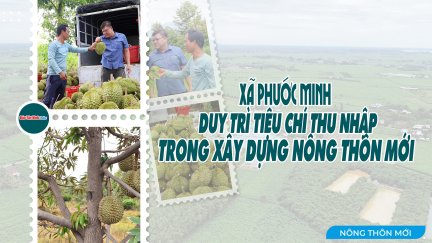 Xã Phước Minh duy trì tiêu chí thu nhập trong xây dựng nông thôn mới