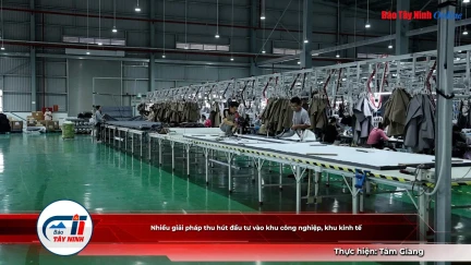 Nhiều giải pháp thu hút đầu tư vào khu công nghiệp, khu kinh tế