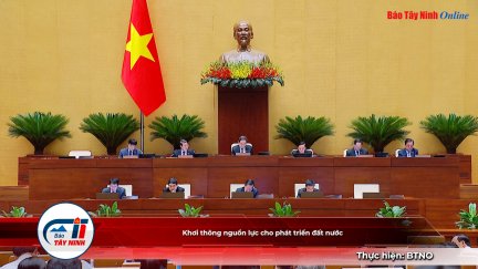Khởi động Dự án Trung tâm Chuyển đổi kép hỗ trợ doanh nghiệp