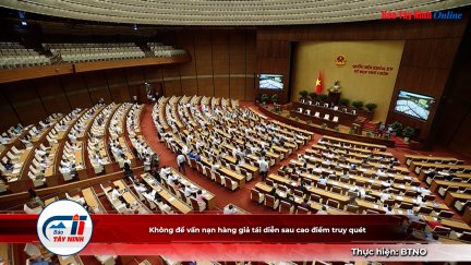 Không để vấn nạn hàng giả tái diễn sau cao điểm truy quét