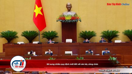 Bổ sung nhiều quy định mới đối với cán bộ, công chức