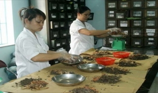 Phát triển y học cổ truyền trong điều kiện hiện đại