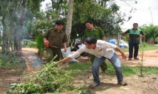 Tân Biên: Thiêu huỷ gần 100 cây cần sa