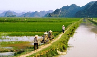 Rút ngắn thời gian thực hiện thủ tục giao đất nông nghiệp