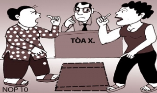 Tranh chấp QSDĐ, toà đình chỉ vụ án, ai có thẩm quyền giải quyết?