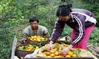 Việt Nam thuộc các nước điển hình về tiến bộ phát triển