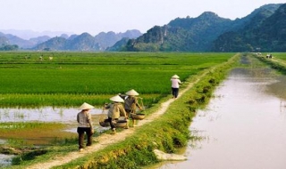 Đã bố trí 1.600 tỷ đồng để xây dựng nông thôn mới