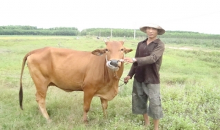 Gò Dầu: Tập trung giải quyết việc làm cho lao động