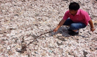 'Đại gia' phơi tiền như phơi muối