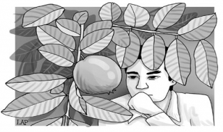 “Yêu” trẻ vị thành niên, lãnh án 4 năm tù
