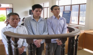 Sức hút của “bác thằng bần”