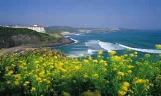 Du ngoạn hòn đảo xinh đẹp Jeju – Hàn Quốc