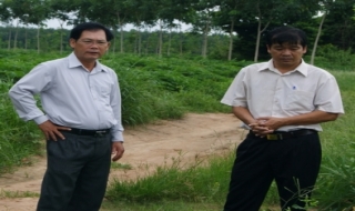 Sở NN&PTNT: Trả lời những phản ánh về tình trạng lén lút chặt, phá rừng trồng