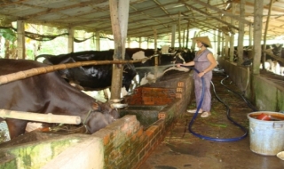 Phụ nữ Trảng Bàng: Chung sức với chị em nghèo