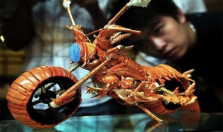 Siêu mô tô làm từ vỏ tôm hùm