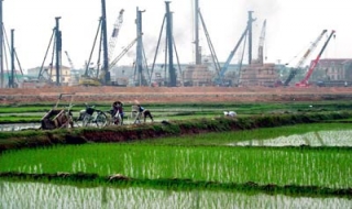 Miễn, giảm thuế sử dụng đất nông nghiệp từ 1.10.2011
