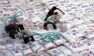 Việt Nam phấn đấu mỗi năm xuất khẩu 6 triệu tấn gạo