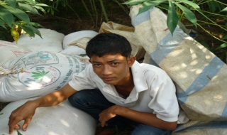 Thua bạc, xúc lúa trộm