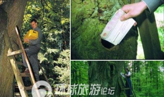 Hốc cây làm 'bà mối' mát tay