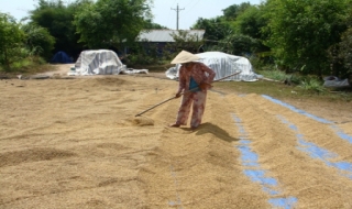 Phụ nữ Bến Cầu: Khi có Hội đồng hành
