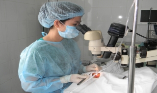 Gò Dầu: Mổ mắt miễn phí cho hơn 100 bệnh nhân