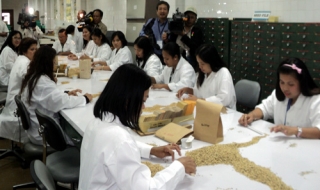 Việt Nam mong muốn tăng cường hợp tác trong nghiên cứu cây lúa