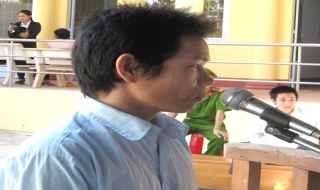 30 tháng tù cho kẻ trộm bò