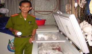 Công an phường 1 – Thị xã: Phát hiện 70 kg… đỉa