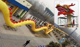 'Chú rồng' lớn nhất thế giới