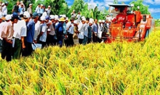 Tổng kết chương trình xây dựng thí điểm mô hình nông thôn