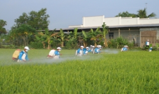 Bến Cầu: Ra mắt CLB Nông dân xã Long Thuận
