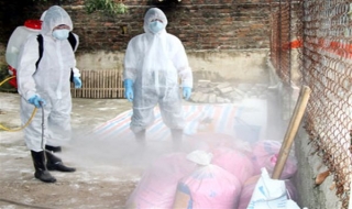 Công điện của Thủ tướng Chính phủ về phòng, chống dịch cúm A (H5N1)