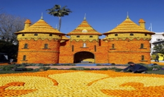 Ngập trong lễ hội cam chanh