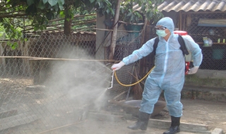 Tân Châu: Triển khai nhiều biện pháp phòng chống dịch cúm gia cầm