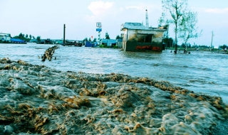 Trên 39% diện tích ĐBSCL bị ngập khi nước biển dâng 1m