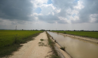 Ngân hàng Phát triển châu Á hỗ trợ Việt Nam cải thiện hệ thống thuỷ lợi và cơ sở hạ tầng đô thị