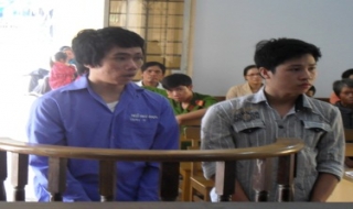 Đạo chích sa lưới