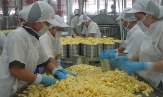 Việt Nam và EU hoàn thành bước chuẩn bị cho đàm phán thương mại tự do