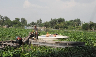 Tây Ninh: Chìm đò, 3 người chết