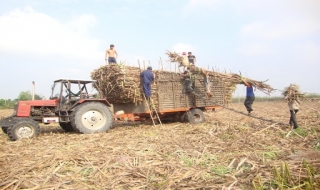 Tân Châu: Kinh tế - xã hội phát triển ổn định những tháng đầu năm 2012