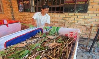 Gò Dầu: Nuôi dế cải thiện cuộc sống