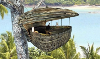 Lạ lùng nhà hàng trên ngọn cây