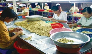 Châu Thành: Tiến độ tổng điều tra cơ sở kinh tế, hành chính, sự nghiệp năm 2012 còn chậm
