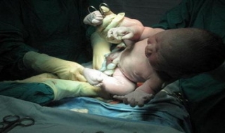 Khai mạc Hội nghị quốc tế Sản phụ khoa ở TP Hồ Chí Minh