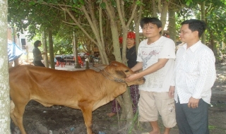 Hội Người mù huyện Trảng Bàng: Giúp hội viên vượt khó