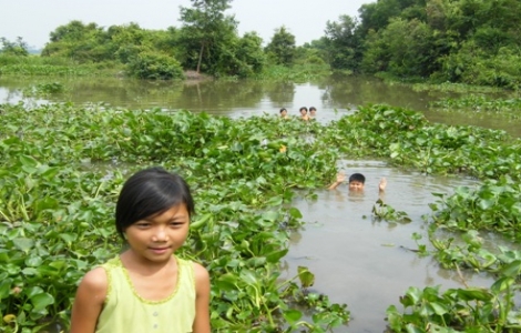 Mùa hè của trẻ em miền sông nước