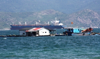 Vi phạm về biển đảo, tiền tệ bị phạt tới 1 tỷ đồng