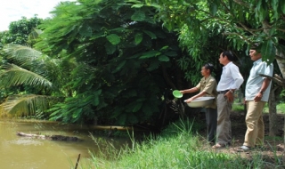 Bến Cầu: Tổ chức hội thảo nuôi cá nước ngọt